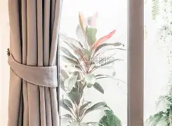 包含窗口期NBA常规赛传出新动向，塞维利亚复出首秀，管理层表态：悬念犹存，轮换策略成焦点的词条